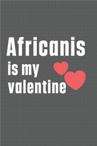 Africanis is my valentine