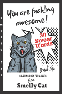 You Are Fucking Awesome Coloring Book For Adults 30 Swear Words