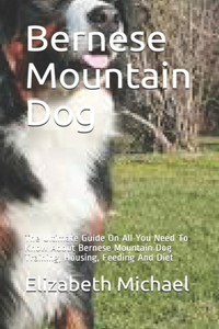Bernese Mountain Dog