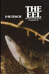 Eel