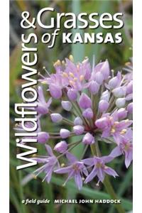 Wildflowers and Grasses of Kansas
