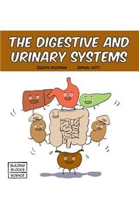 Digestive and Urinary Systems