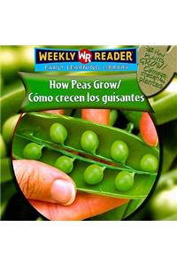 How Peas Grow / Cómo Crecen Los Guisantes