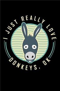 I Just Really Love Donkeys, Ok?