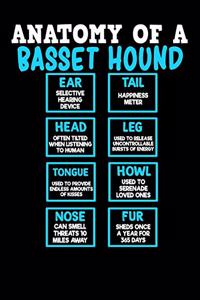 Anatomy of a Basset Hound