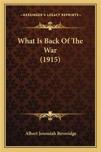What Is Back Of The War (1915)