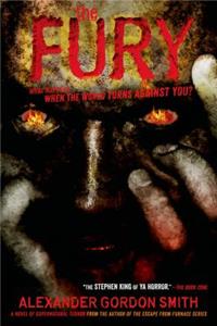 Fury