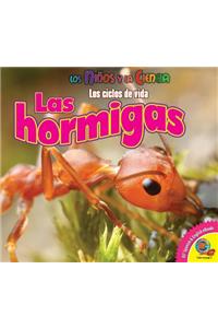 Hormigas