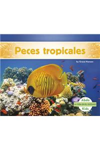 Peces Tropicales