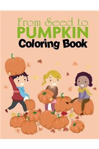 From Seed to Pumpkin coloring book