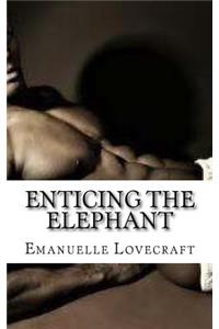 Enticing The Elephant