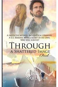 Through a Shattered Image
