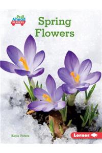 Spring Flowers