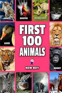 First 100 Animals