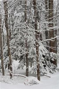 Journal Winter Weather Scene