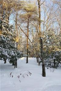 Sunlight Trees Winter Weather Journal