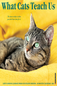 What Cats Teach Us 2021 Wall Calendar