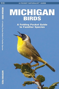 Michigan Birds