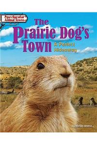 Prairie Dog's Town