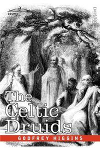 Celtic Druids