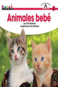 Animales Bebt Shared Reading Book
