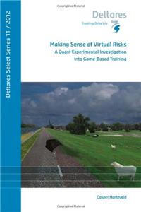 Making Sense of Virtual Risks