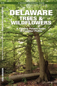 Delaware Trees & Wildflowers