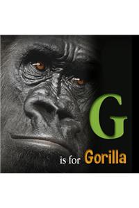 G Is for Gorilla