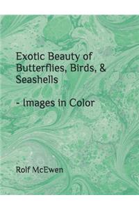 Exotic Beauty of Butterflies, Birds, & Seashells - Images in Color