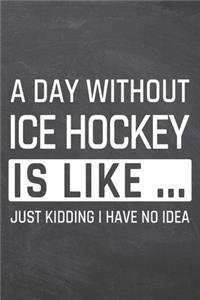 A Day without Ice Hockey is like ...