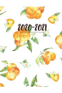 Daily Planner 2020-2021 Watercolor Oranges 15 Months Gratitude Hourly Appointment Calendar