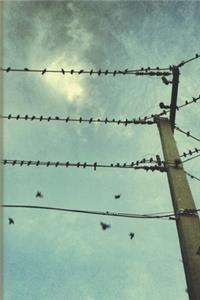 Birds on Wires Journal