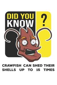 Did You Know?: Funny Crawfish Notebook for any seafood and crayfish lover.Fun Crawdaddy Quotes and Sayings . Planner Diary Note Book - 120 Squared Pages