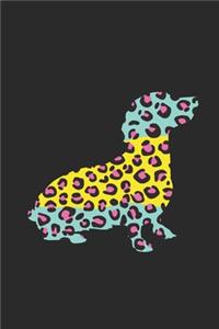 Dachshund Leopard