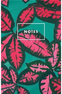 Notes