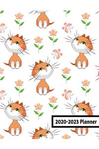 2020-2023 Planner
