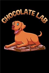 Chocolate Lab