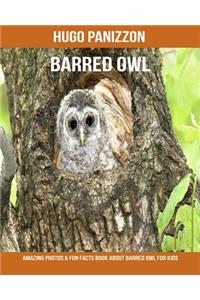 Barred Owl