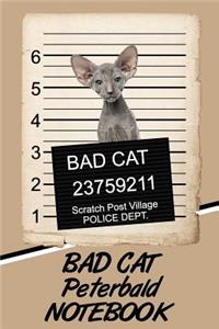Bad Cat Peterbald Notebook