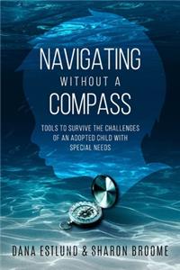 Navigating Without a Compass