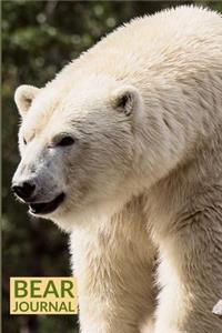 Bear Journal