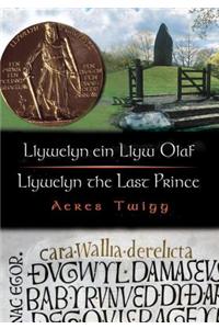 Cyfres Cip ar Gymru / Wonder Wales: Llywelyn ein Llyw Olaf