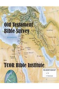 Old Testament Bible Survey