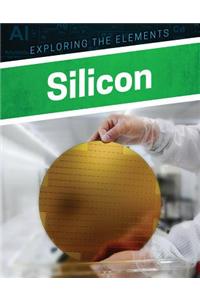 Silicon