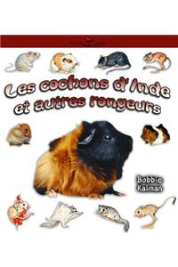 Les Cochons D'Inde Et Autres Rongeurs
