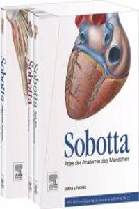 Sobotta, Atlas der Anatomie des Menschen3 Bande und Tabellenheft im Schuber, inklusive Zugang zur Sobotta-Website