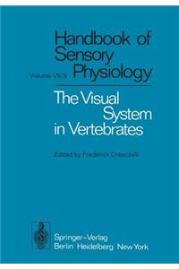 Visual System in Vertebrates