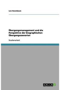 Übergangsmanagement und die Perspektive der biographischen Übergangsszenarien