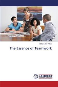Essence of Teamwork