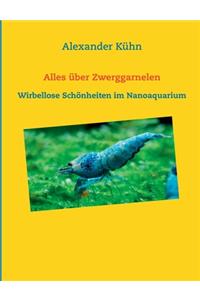 Alles über Zwerggarnelen